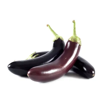 Brinjal-05 (1)-6046938-75154.webp